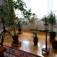 Villa alojamiento barato cerca de Gdansk, descanso en Polonia
